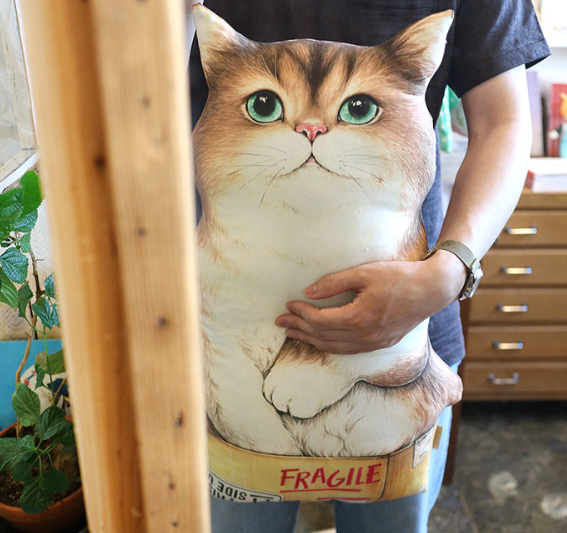 Unclecat 貓叔叔 | 花花紙箱肥貓貓 cat panel 定位布