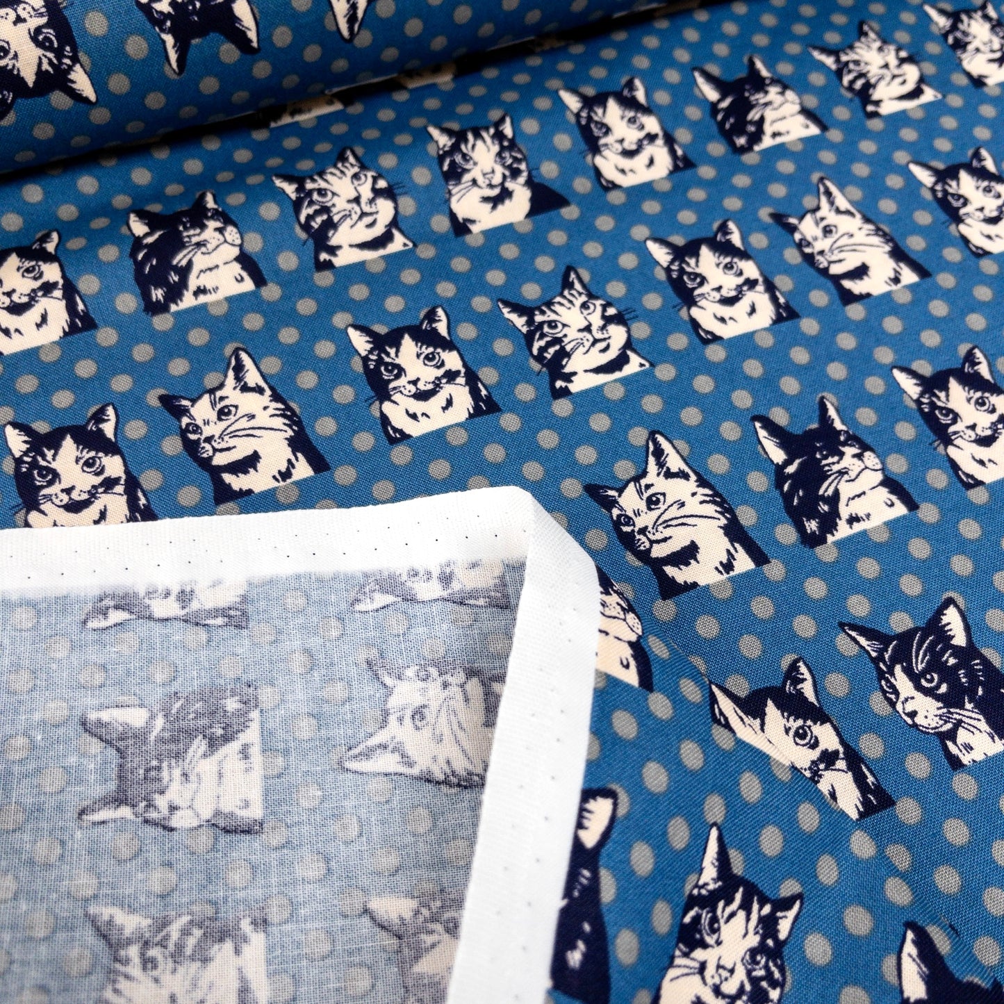 Japan | dots cat 波點拼色貓貓 | cotton printed sheeting 純棉