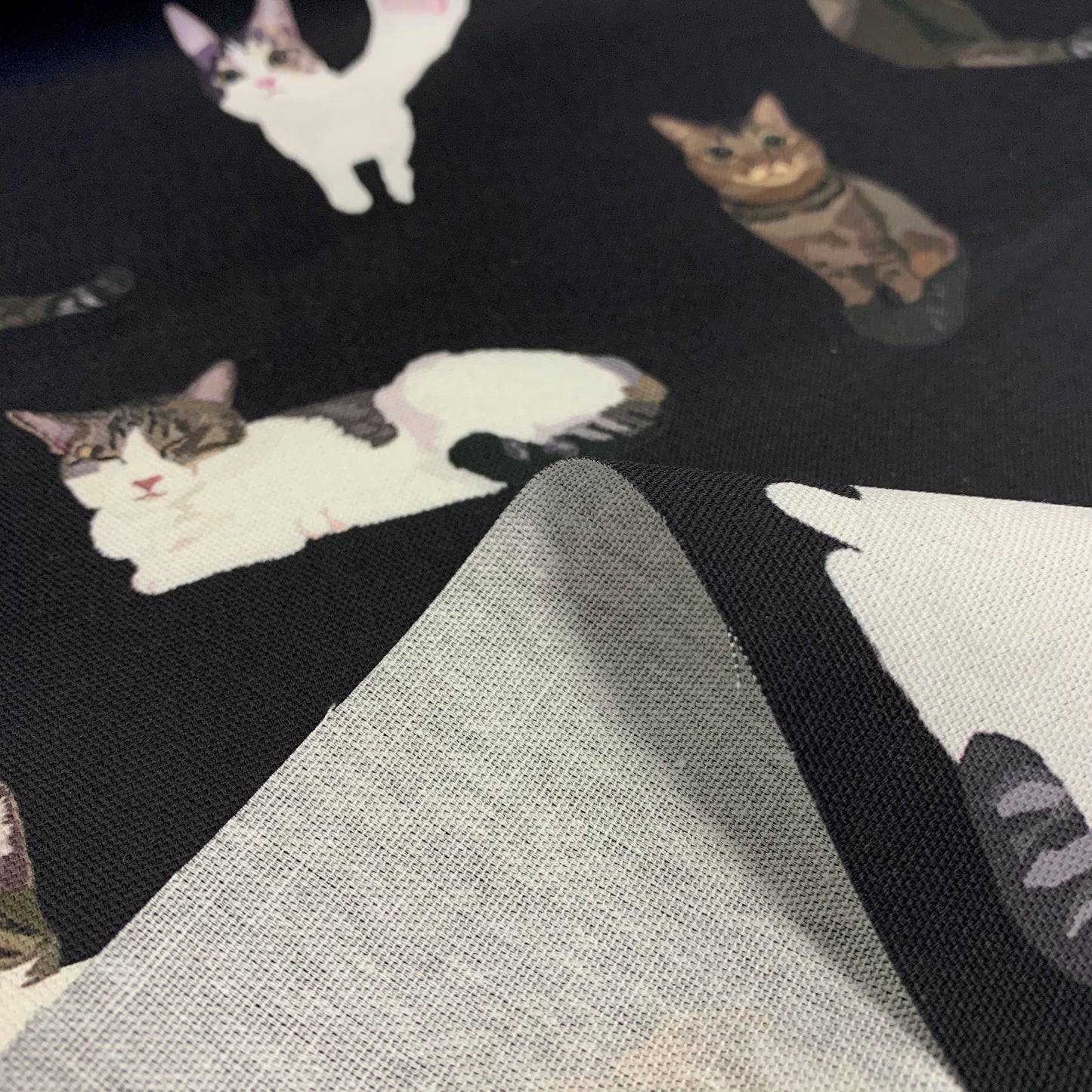 【K‧T FABRIC】唐貓cute moggie cotton printed oxford 純棉