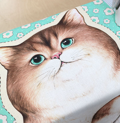 Unclecat 貓叔叔 | 花花紙箱肥貓貓 cat panel 定位布