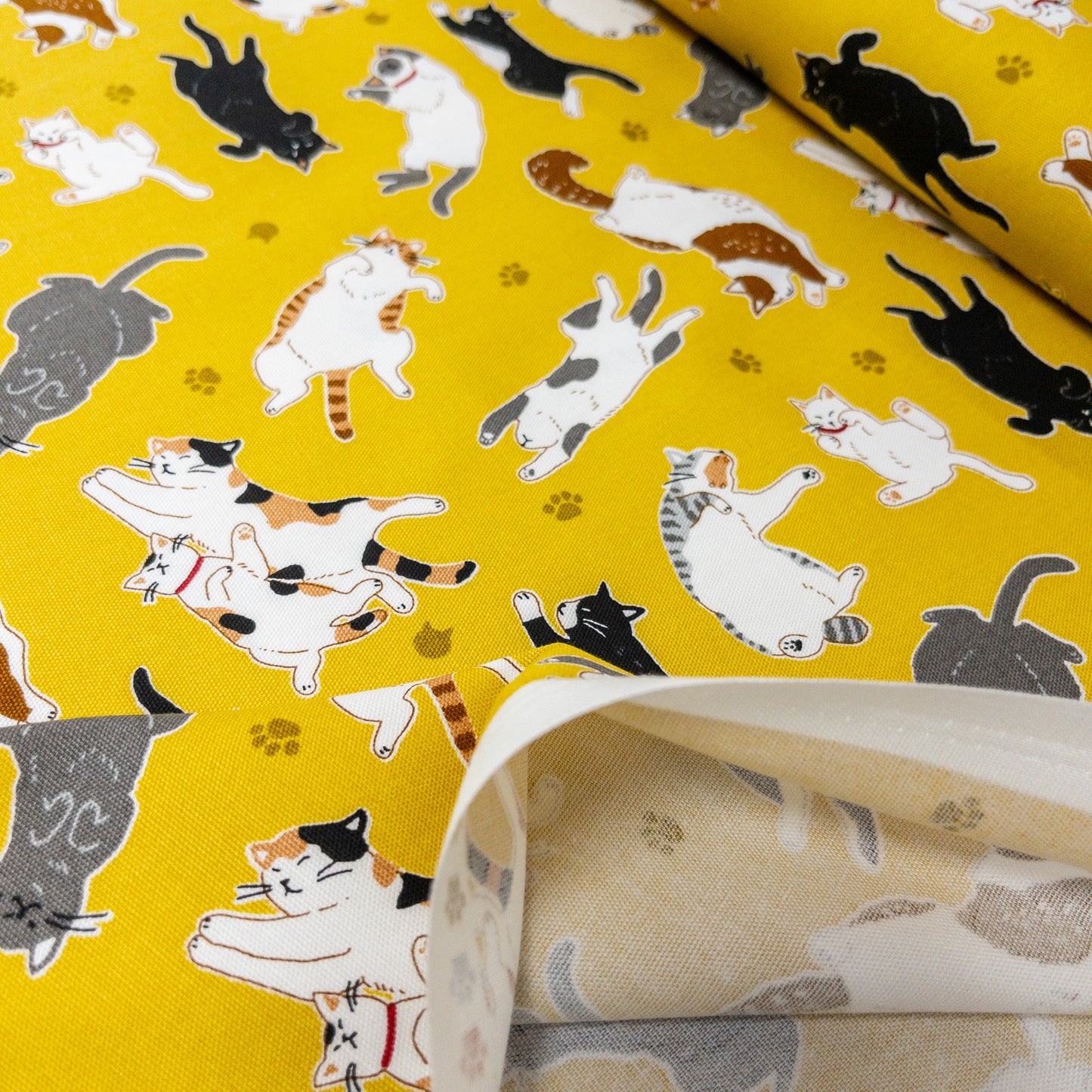 Japan | sleepy cat 瞓覺貓貓 | cotton printed oxford 純棉
