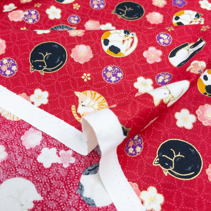Japan | Foil-stamped curled sleeping cat 燙金捲曲睡貓貓 | cotton printed sheeting 純棉