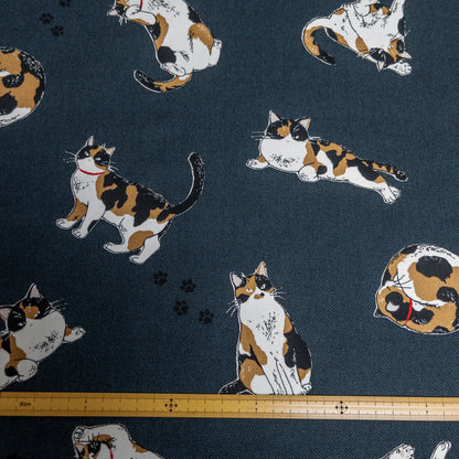 Japan | calico cat 三色貓 | cotton printed oxford 純棉