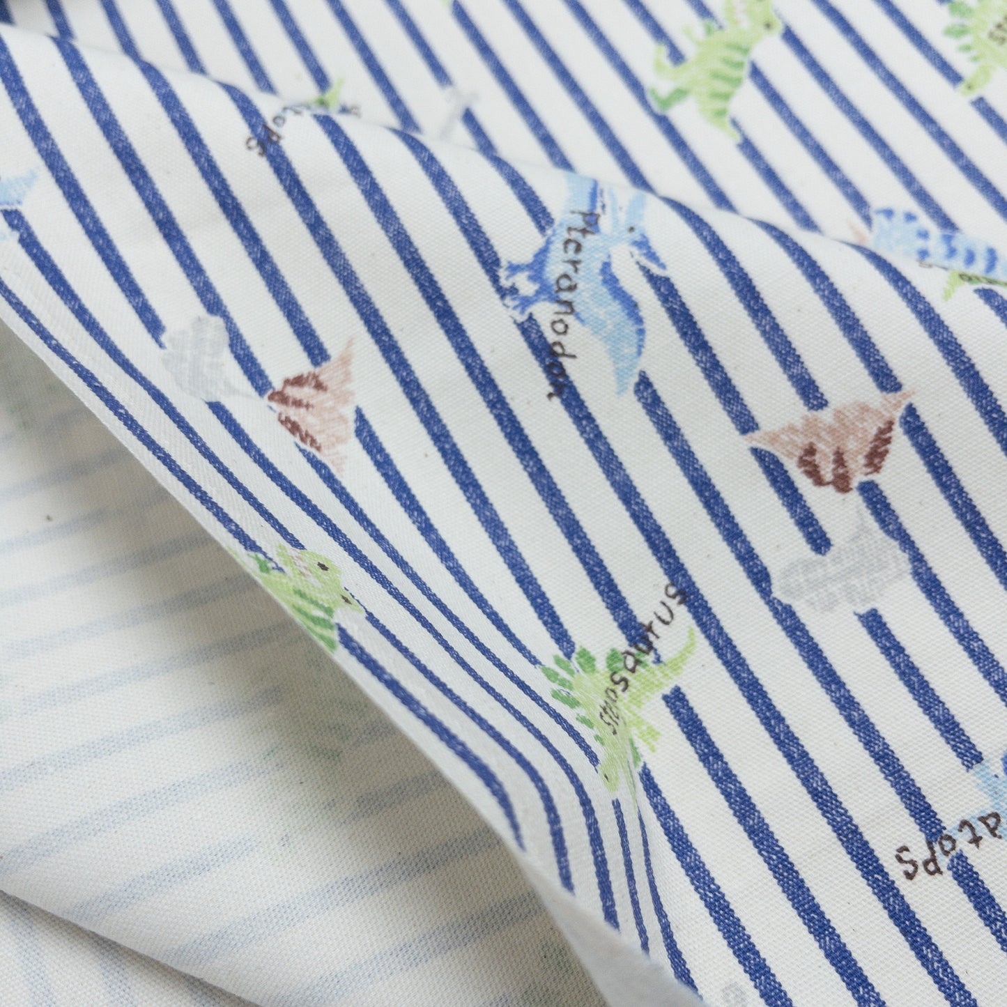 Japan | dinosaur petit embroidery 間條恐龍仿刺繡 | cotton printed oxford 純棉