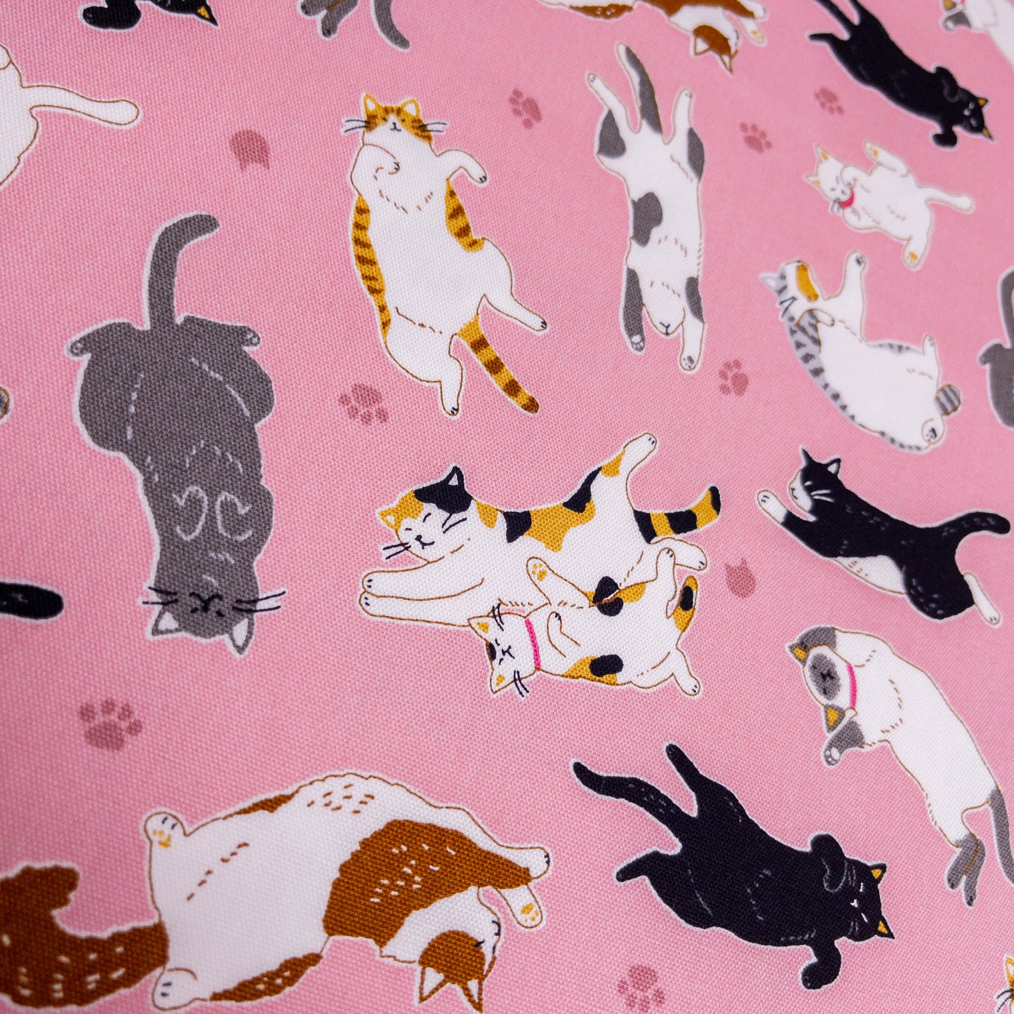 Japan | sleepy cat 瞓覺貓貓 | cotton printed oxford 純棉