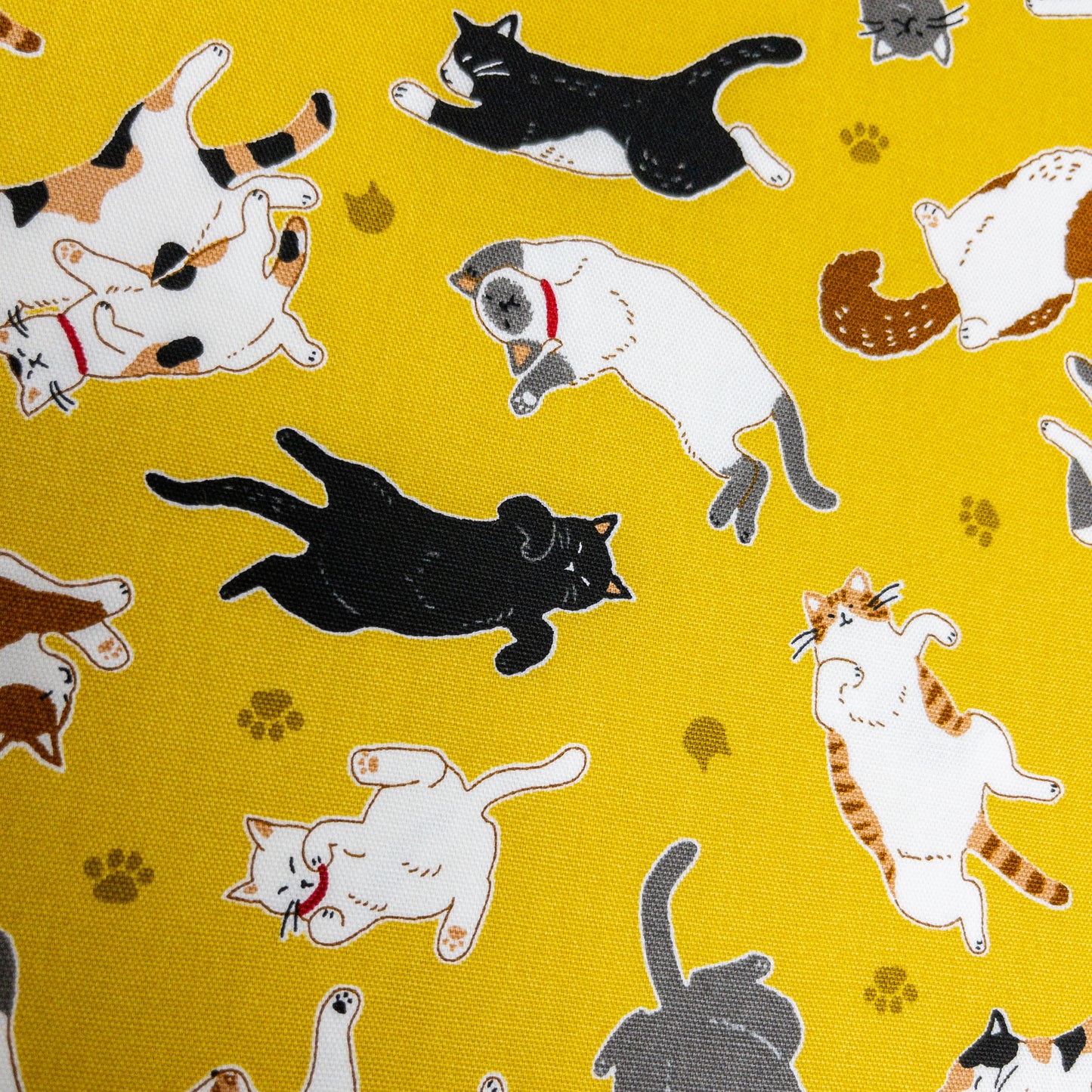 Japan | sleepy cat 瞓覺貓貓 | cotton printed oxford 純棉