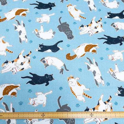 Japan | sleepy cat 瞓覺貓貓 | cotton printed oxford 純棉