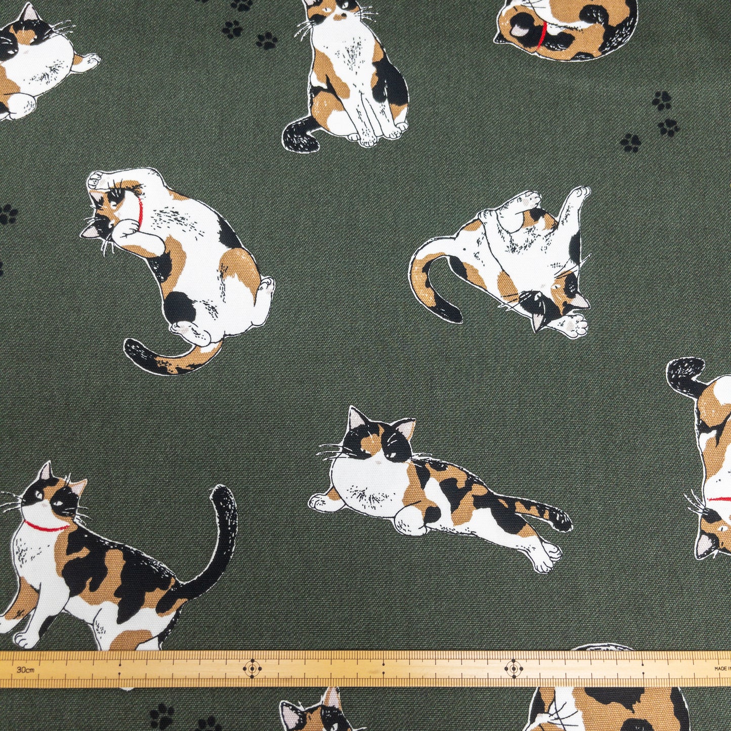 Japan | calico cat 三色貓 | cotton printed oxford 純棉