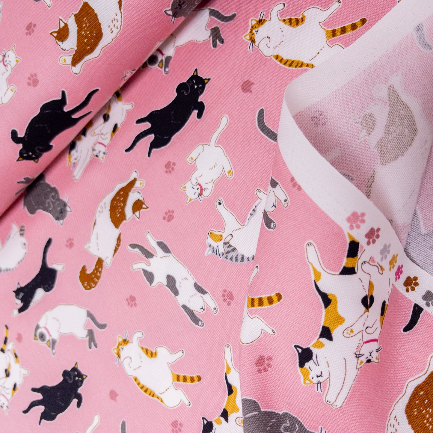 Japan | sleepy cat 瞓覺貓貓 | cotton printed oxford 純棉