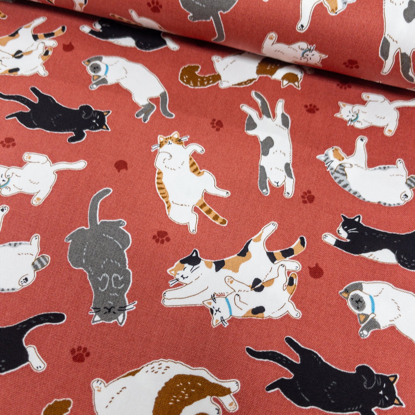 Japan | sleepy cat 瞓覺貓貓 | cotton printed oxford 純棉