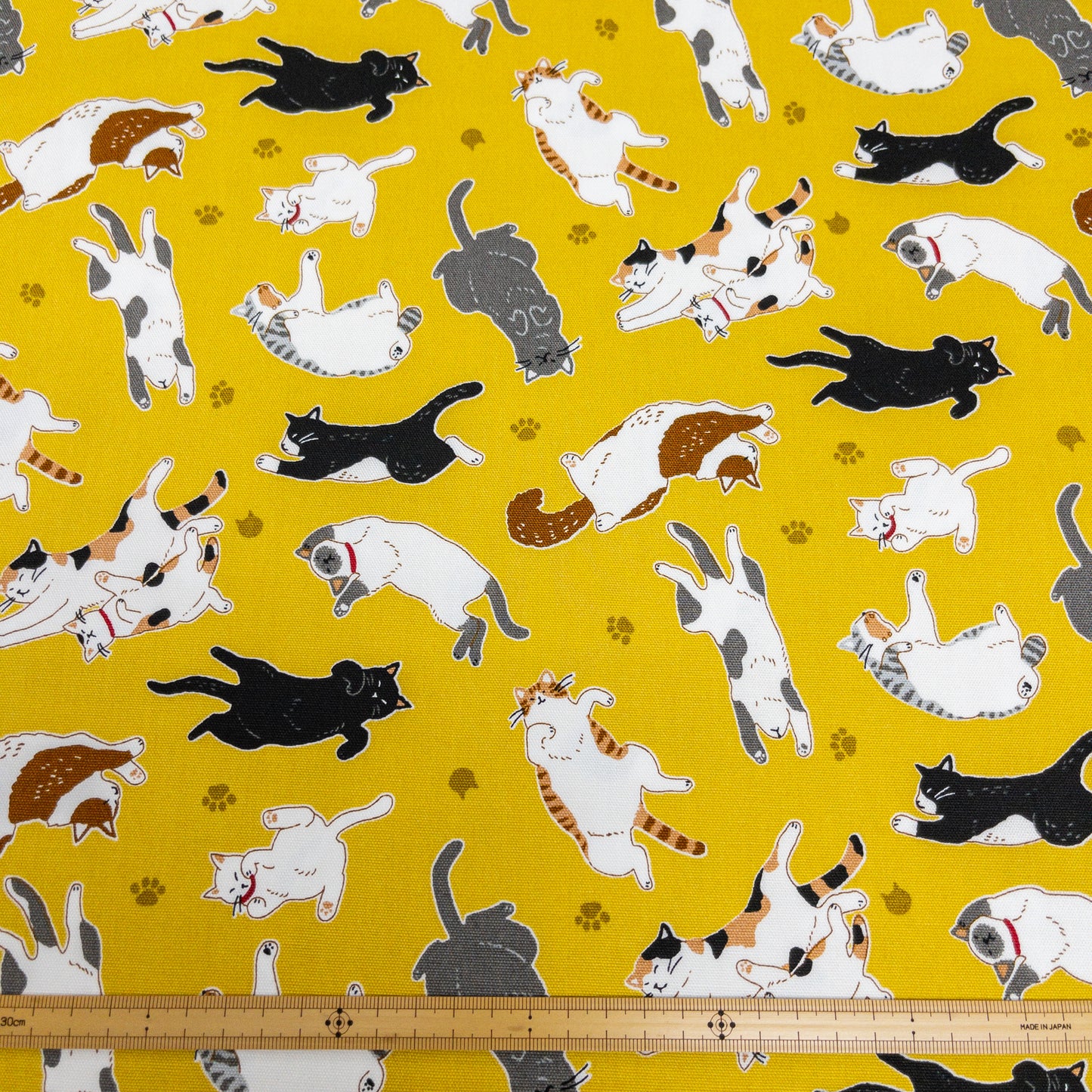 Japan | sleepy cat 瞓覺貓貓 | cotton printed oxford 純棉