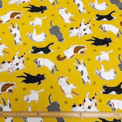 Japan | sleepy cat 瞓覺貓貓 | cotton printed oxford 純棉