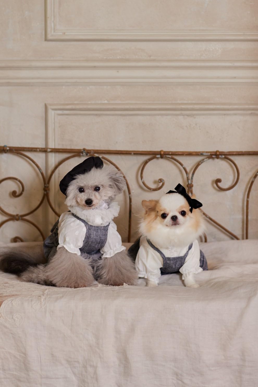 Japan | Cute dog clothes for small dogs 適合小型犬的可愛狗狗衣服 | books 書籍