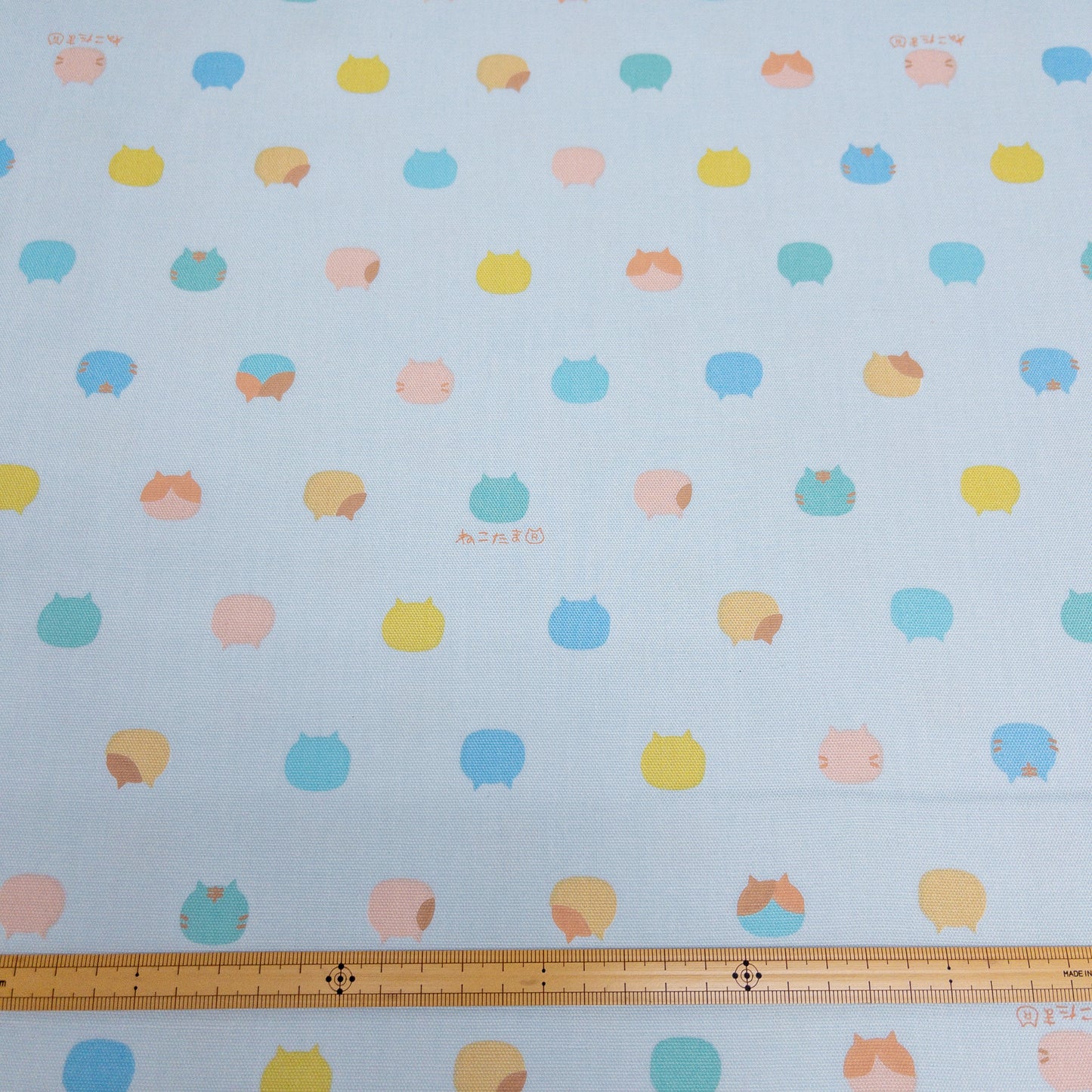 Japan | 「ねこたま」cat heads 彩色小貓頭 | cotton printed oxford 純棉