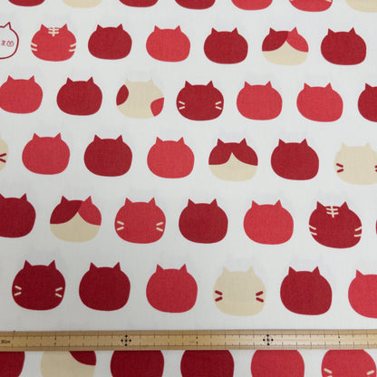 Japan | 「ねこたま」cat heads 彩色大貓頭 | cotton printed oxford 純棉