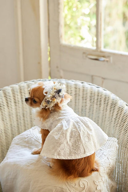 Japan | Cute dog clothes for small dogs 適合小型犬的可愛狗狗衣服 | books 書籍