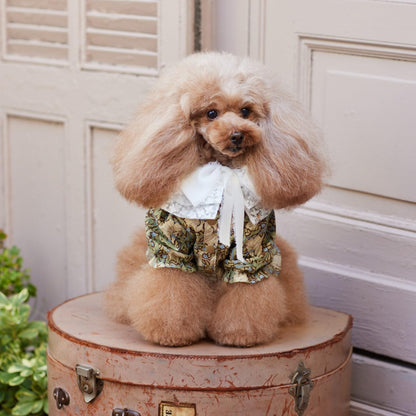 Japan | Cute dog clothes for small dogs 適合小型犬的可愛狗狗衣服 | books 書籍