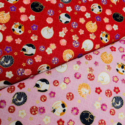 Japan | Foil-stamped curled sleeping cat 燙金捲曲睡貓貓 | cotton printed sheeting 純棉