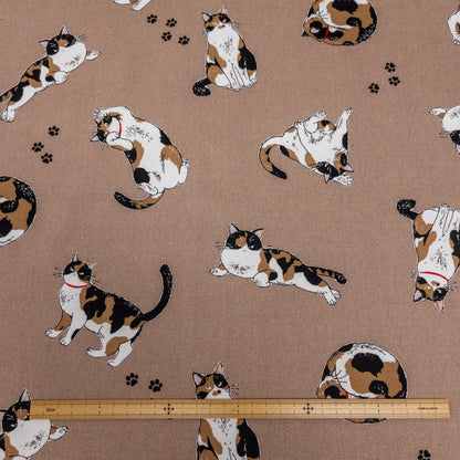 Japan | calico cat 三色貓 | cotton printed oxford 純棉