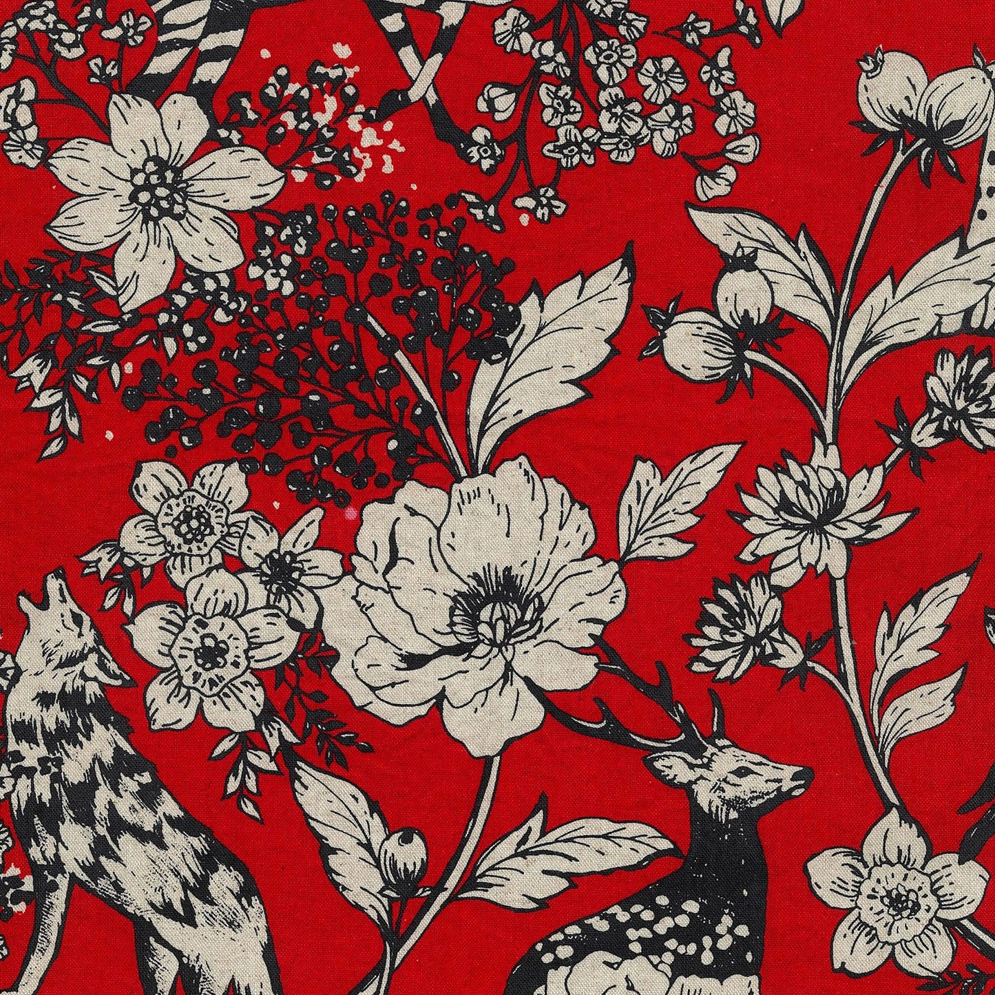 echino | wonder | cotton linen 棉麻