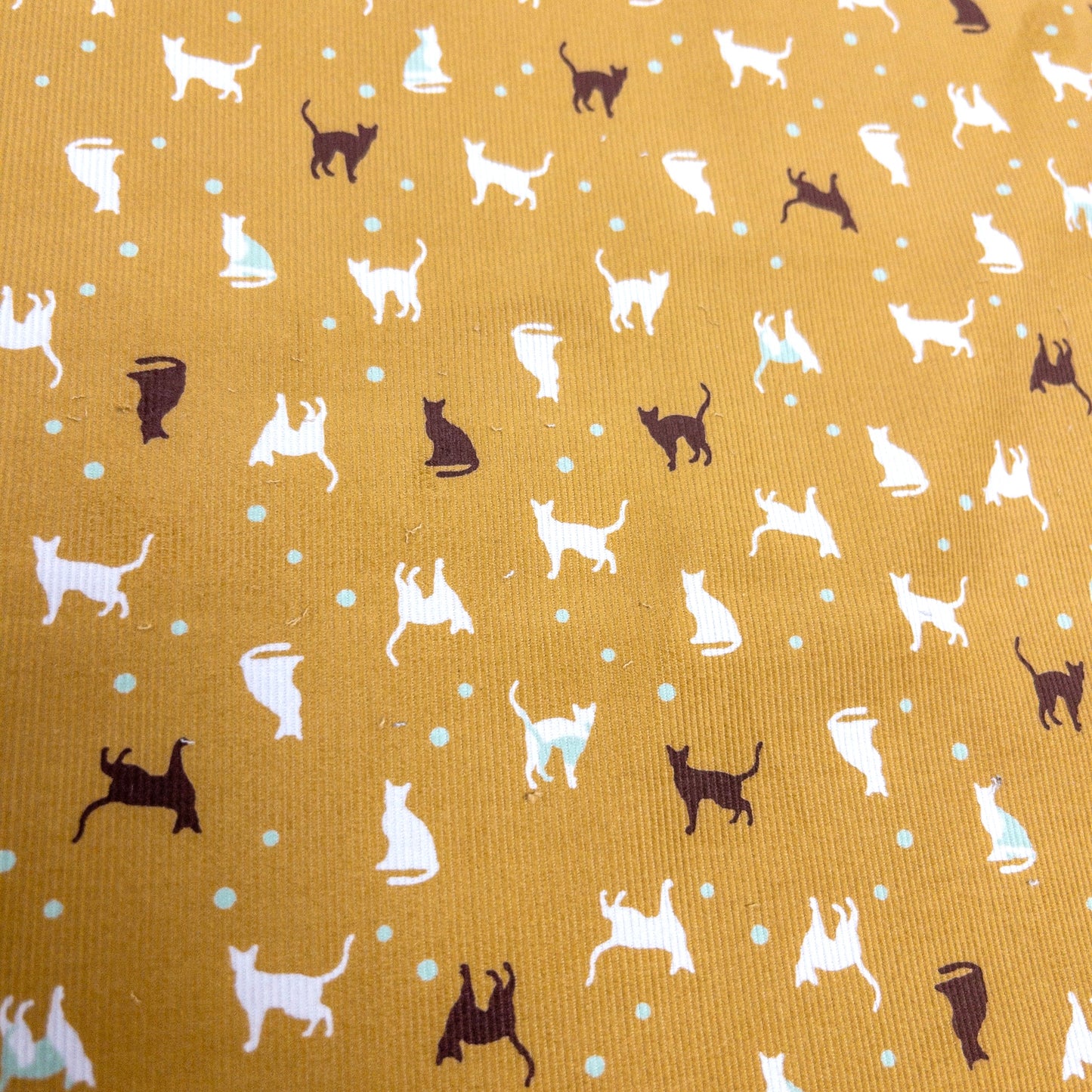 Japan | cat dots 貓貓波點 | cotton printed corduroy 薄燈芯絨