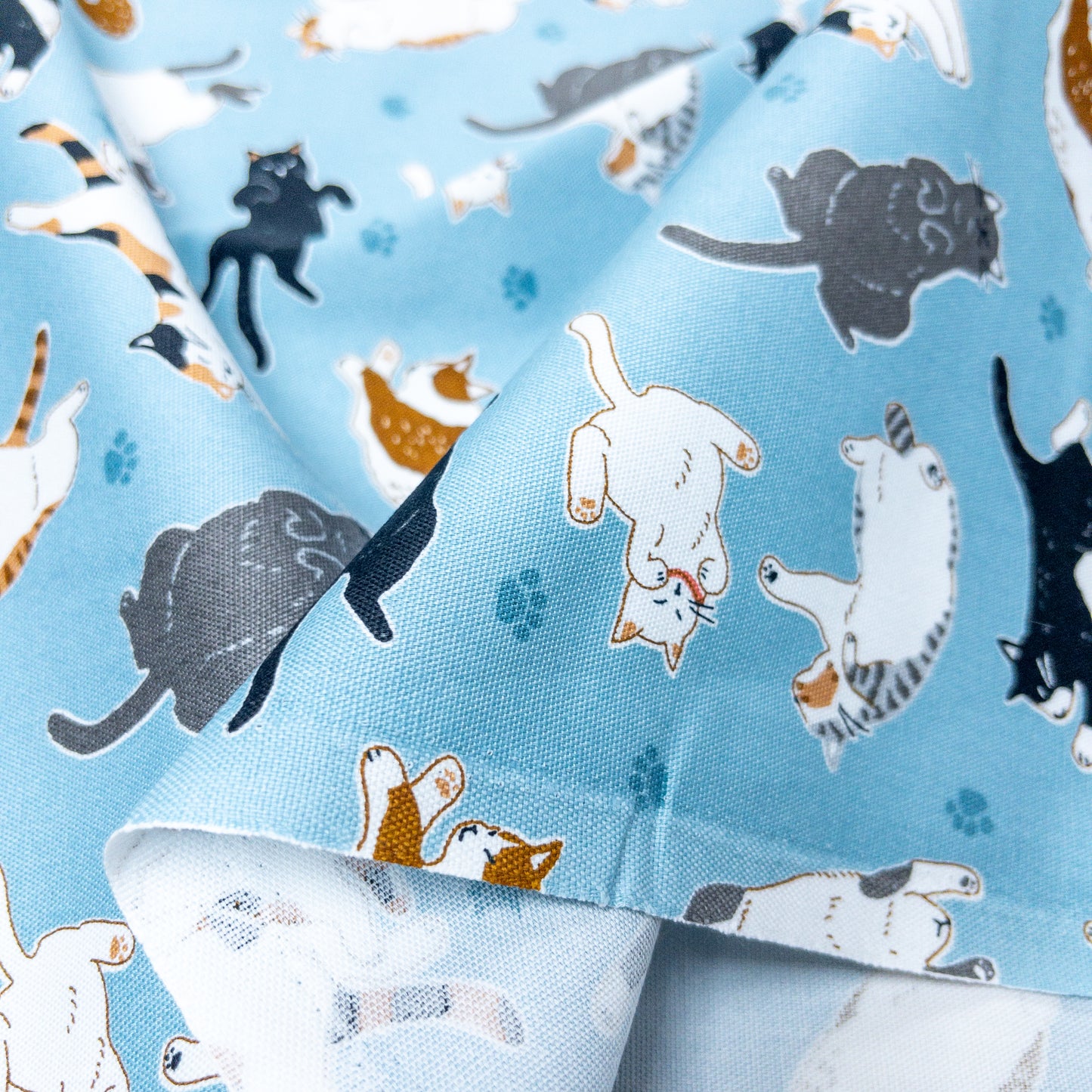 Japan | sleepy cat 瞓覺貓貓 | cotton printed oxford 純棉