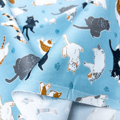 Japan | sleepy cat 瞓覺貓貓 | cotton printed oxford 純棉