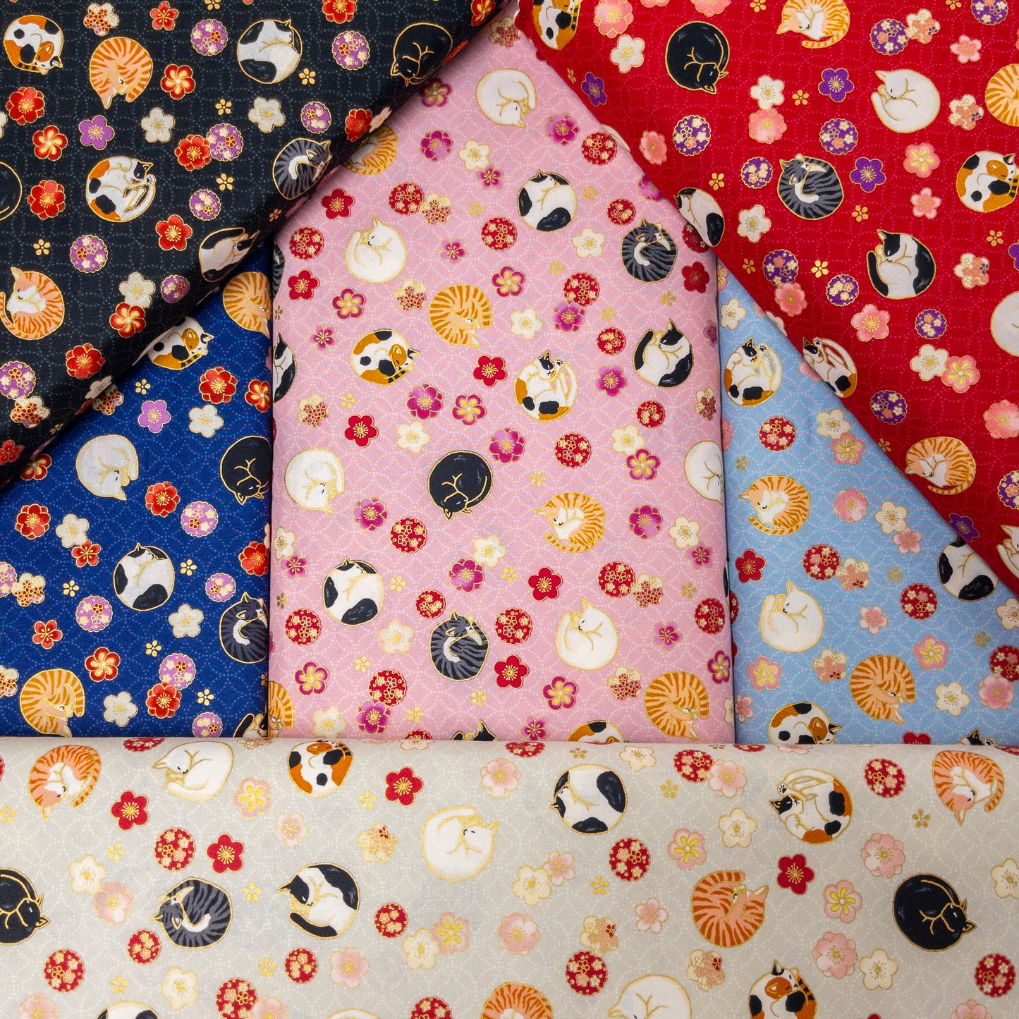 Japan | Foil-stamped curled sleeping cat 燙金捲曲睡貓貓 | cotton printed sheeting 純棉