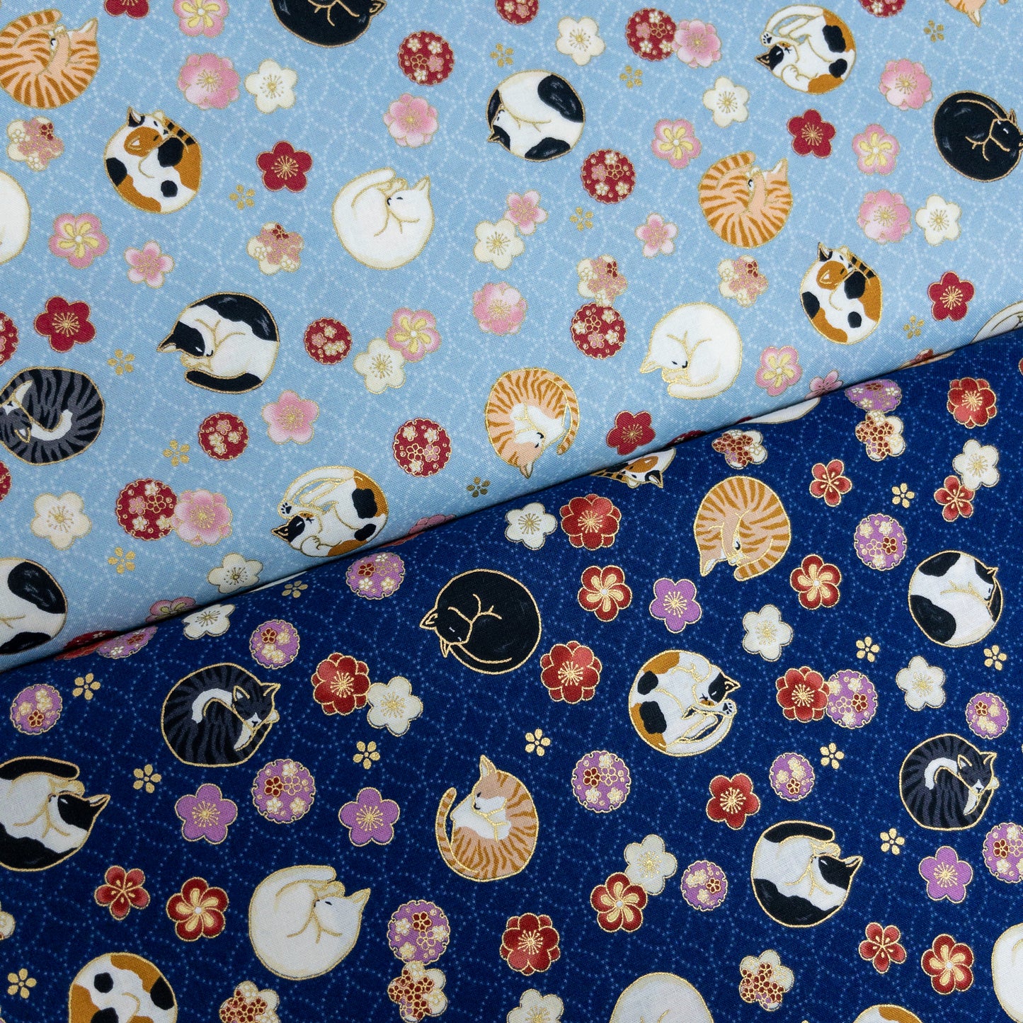 Japan | Foil-stamped curled sleeping cat 燙金捲曲睡貓貓 | cotton printed sheeting 純棉