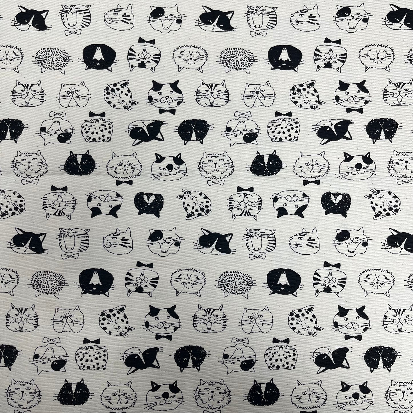 Japan | cat face 貓貓臉 | cotton printed oxford 純棉