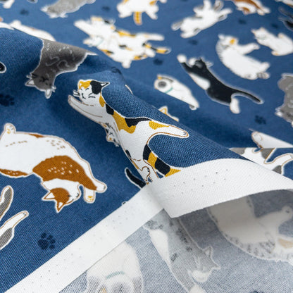 Japan | sleepy cat 瞓覺貓貓 | cotton printed oxford 純棉