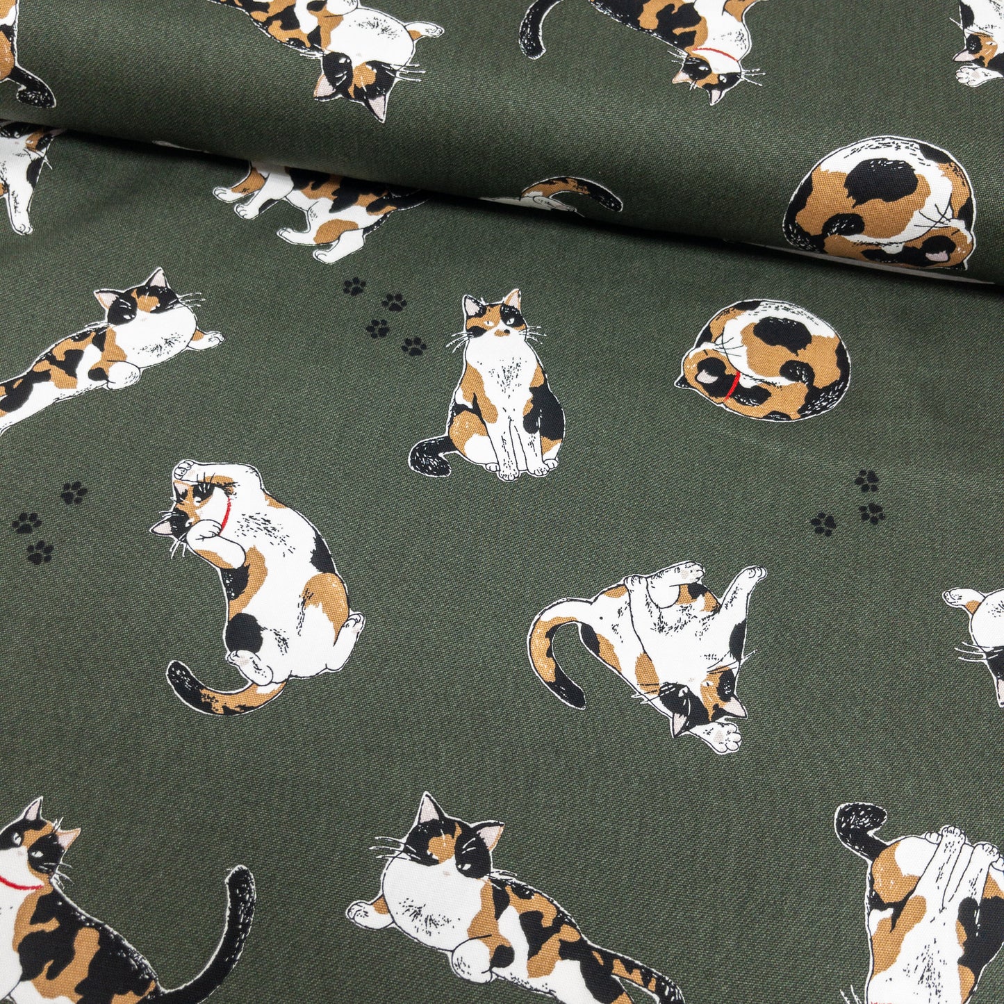 Japan | calico cat 三色貓 | cotton printed oxford 純棉