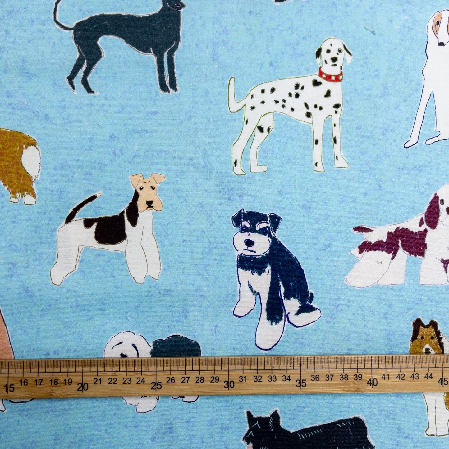 nora. | doggy 名種狗狗 | cotton printed sheeting 純棉