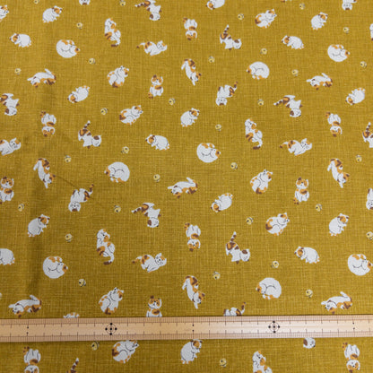 Japan | little cat 小小三色貓 | cotton printed sheeting