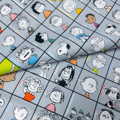 Japan | Snoopy 75 anniversary 75週年 格仔史努比 | cotton printed oxford 純棉