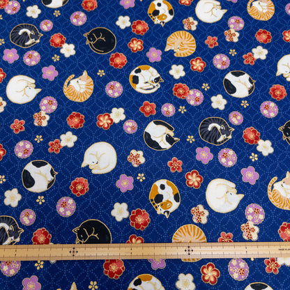 Japan | Foil-stamped curled sleeping cat 燙金捲曲睡貓貓 | cotton printed sheeting 純棉