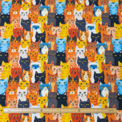 Taiwan | 貓貓 is watching you | cotton 純棉