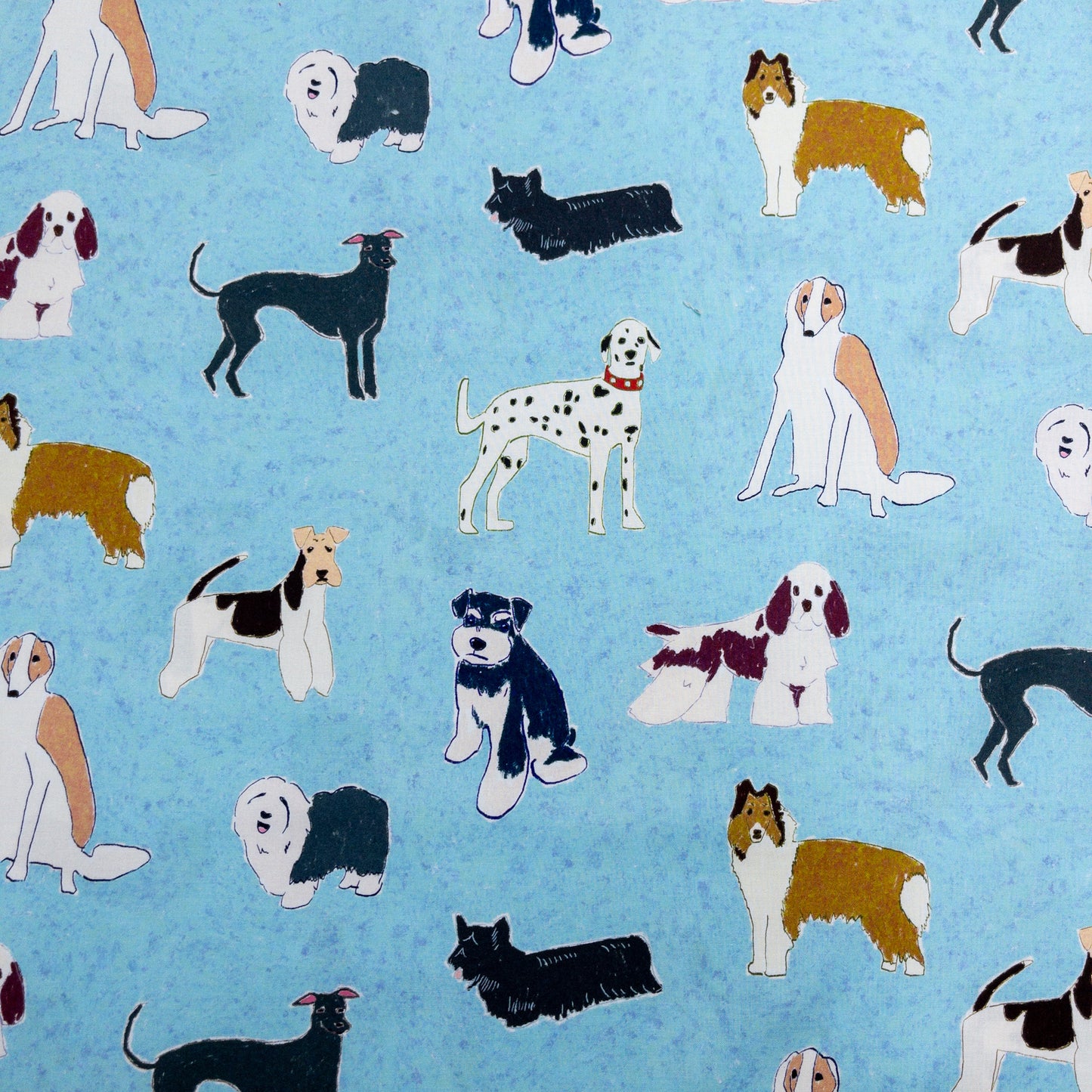 nora. | doggy 名種狗狗 | cotton printed sheeting 純棉