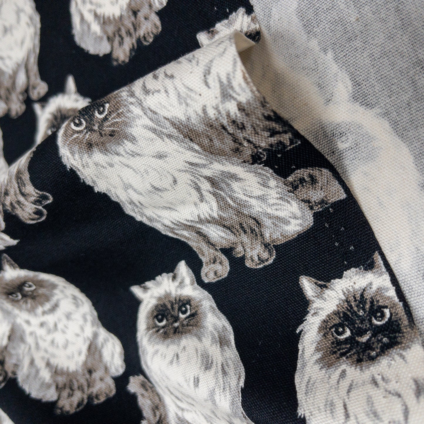 Japan | Siamese cat 暹羅貓 | cotton printed sheeting