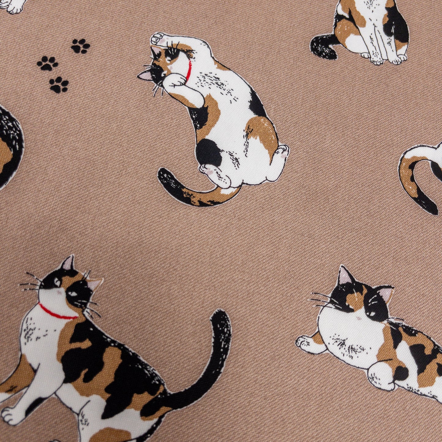 Japan | calico cat 三色貓 | cotton printed oxford 純棉