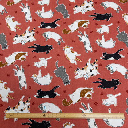 Japan | sleepy cat 瞓覺貓貓 | cotton printed oxford 純棉