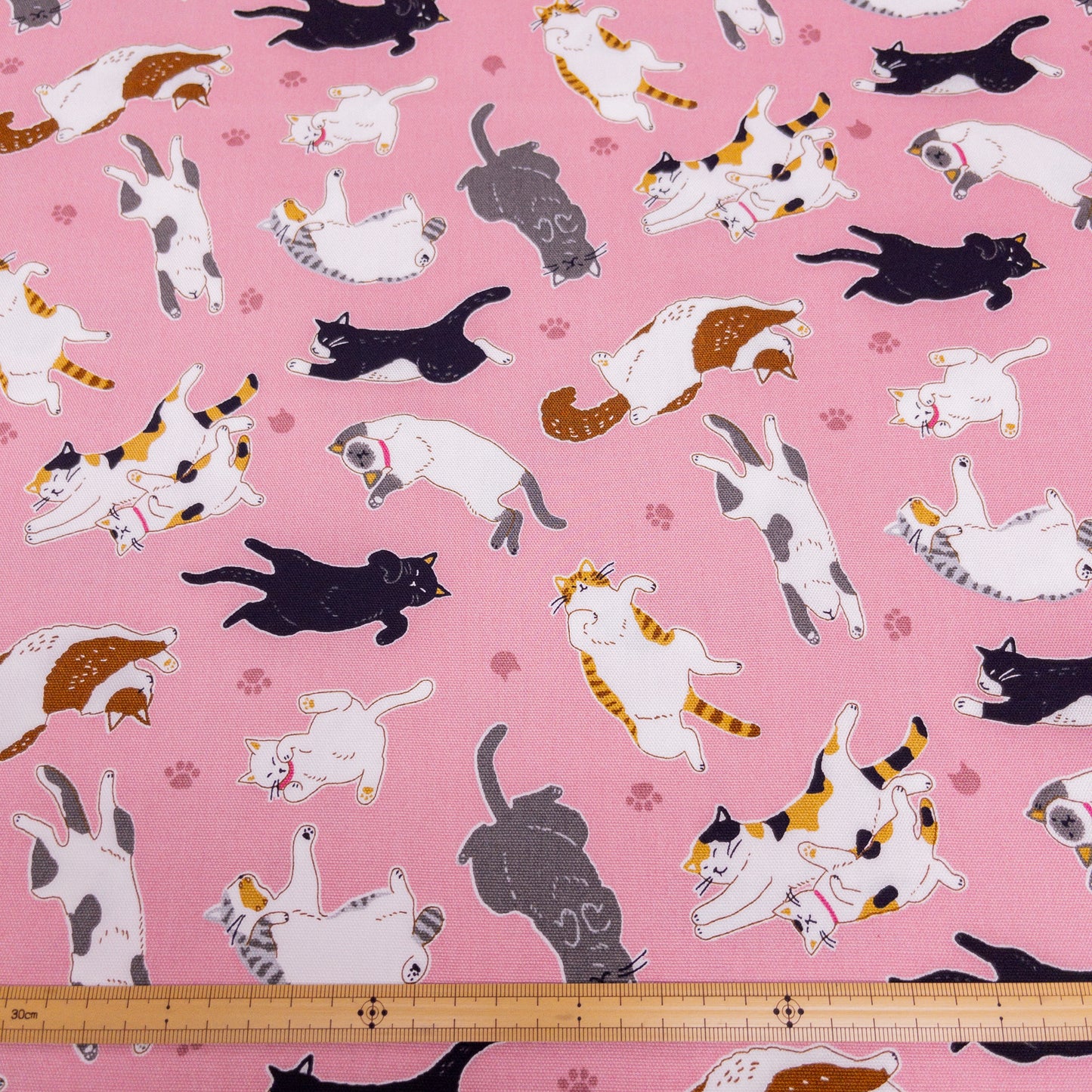 Japan | sleepy cat 瞓覺貓貓 | cotton printed oxford 純棉