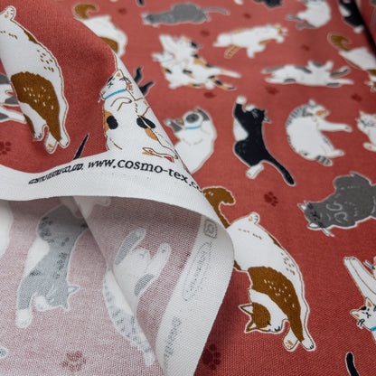 Japan | sleepy cat 瞓覺貓貓 | cotton printed oxford 純棉