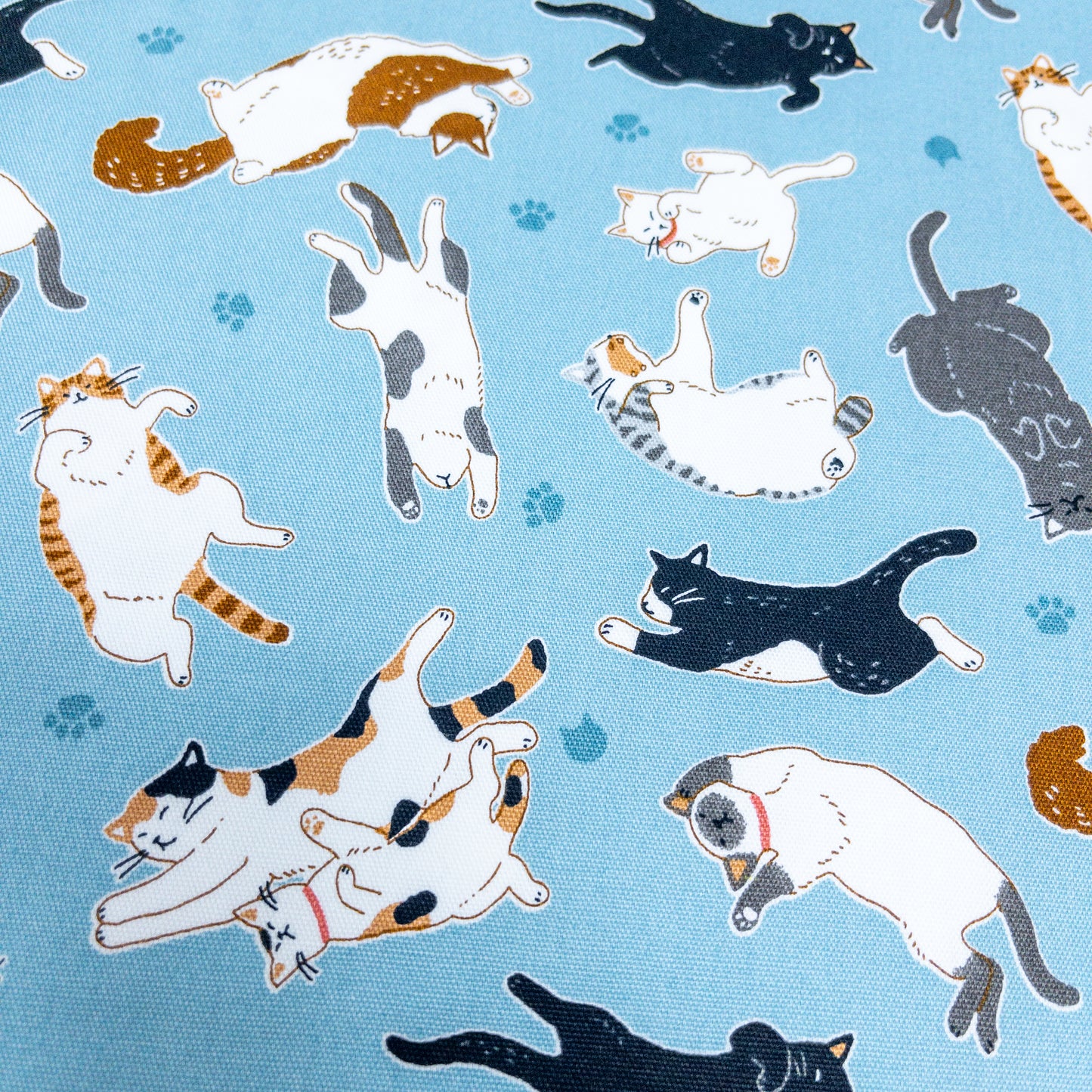 Japan | sleepy cat 瞓覺貓貓 | cotton printed oxford 純棉