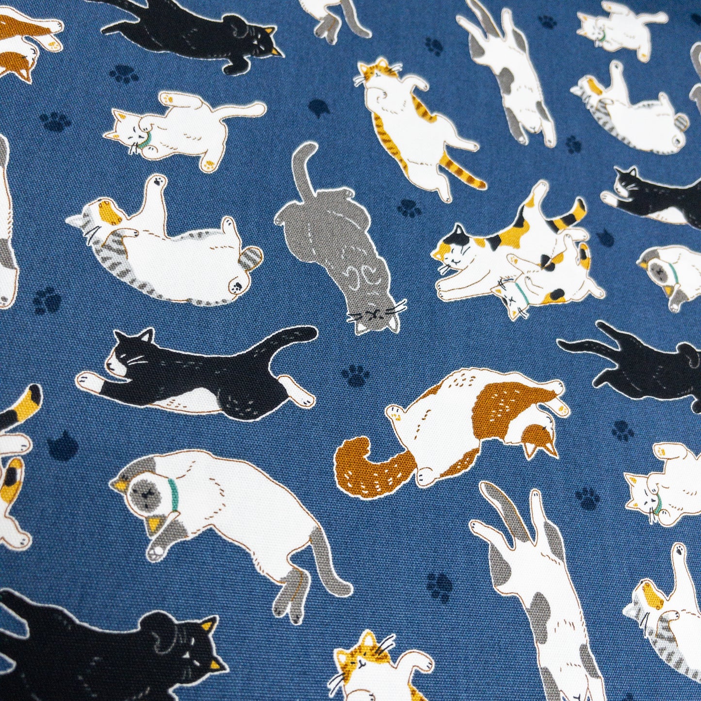 Japan | sleepy cat 瞓覺貓貓 | cotton printed oxford 純棉
