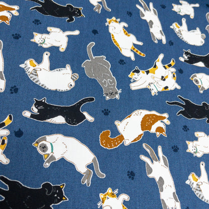 Japan | sleepy cat 瞓覺貓貓 | cotton printed oxford 純棉