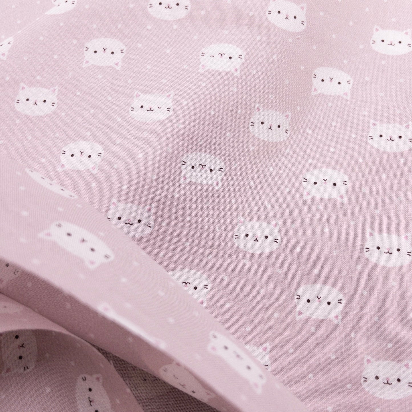 Japan | dots kitten 波點貓咪 | cotton printed sheeting 純棉