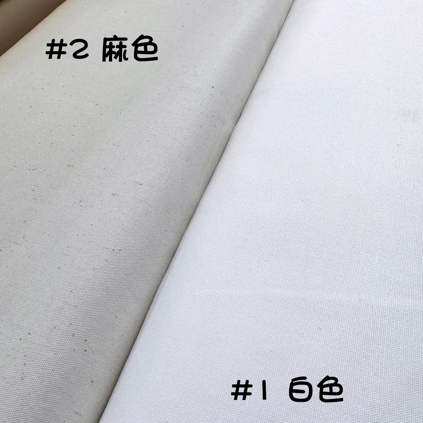 Japan | solid 純色 | cotton oxford 純棉牛津