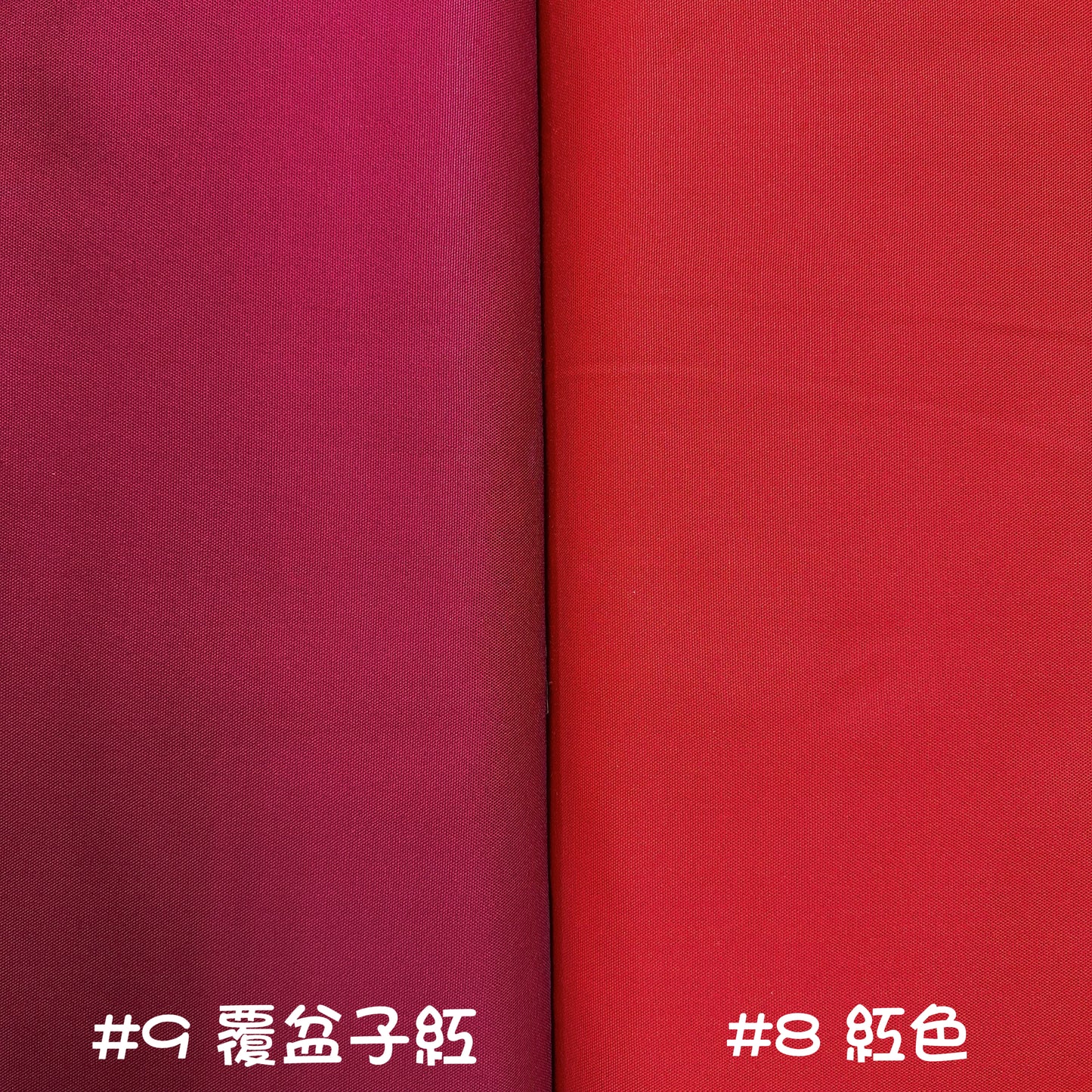 Japan | solid 純色 | cotton oxford 純棉牛津