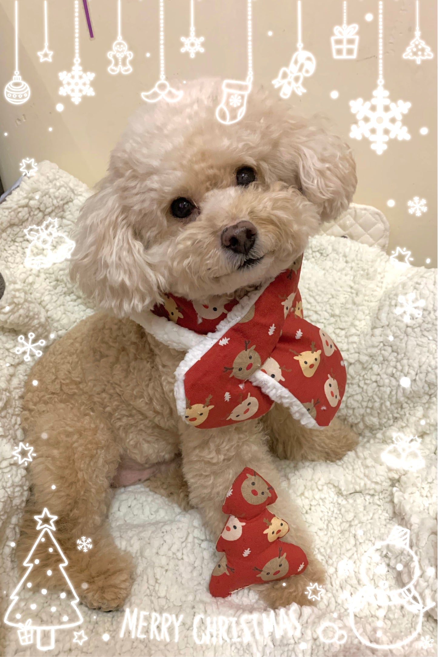 【K‧T FABRIC】聖誕毛線球小鹿Christmas deer cotton printed oxford 純棉